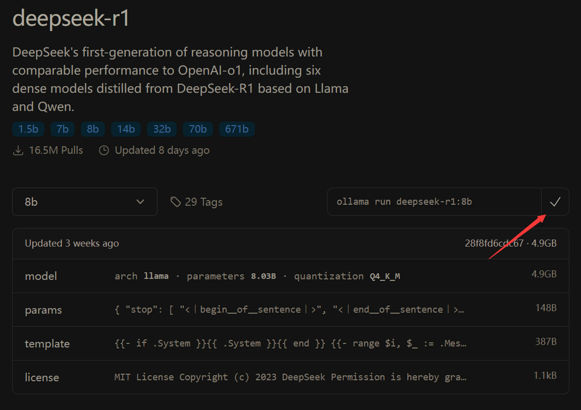 image-20250215220240028