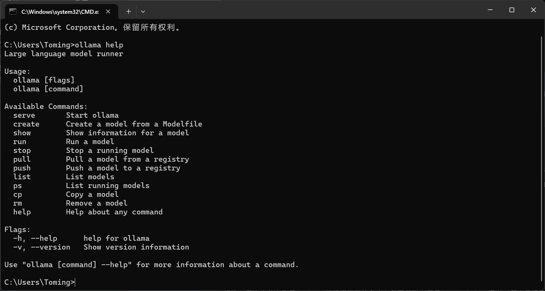 image-20250215221703925